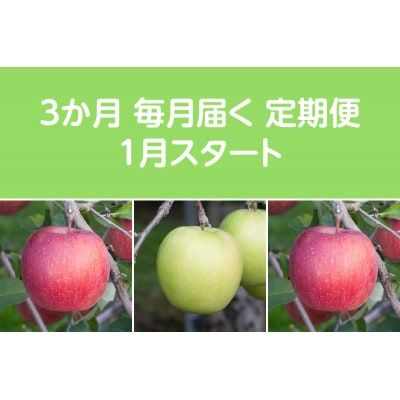 【発送月固定定期便】〈2026年1月より順次発送〉甘味系・青森りんご約5kg 全3回【配送不可地域：離島・沖縄県】