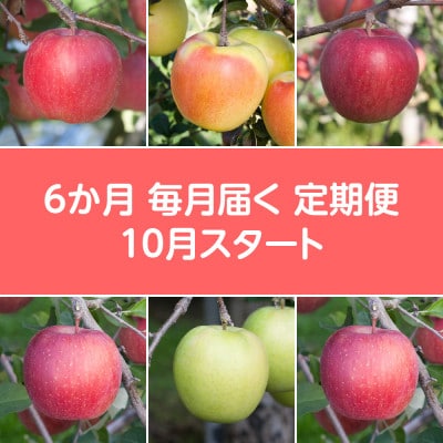 【発送月固定定期便】〈2024年10月より順次発送〉甘味系・青森県産りんご約3kg 全6回【配送不可地域：離島・沖縄県】