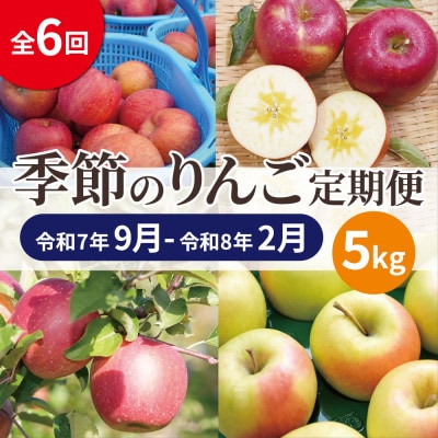 【発送月固定定期便】青森りんご 訳あり 品種おまかせ 5kg 2025年9月～2026年2月全6回【配送不可地域：離島・沖縄県】