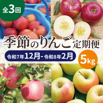 【発送月固定定期便】青森りんご 訳あり 品種おまかせ 5kg 12月～2月全3回【配送不可地域：離島・沖縄県】