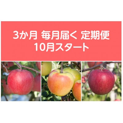 【発送月固定定期便】〈2025年10月より順次発送〉甘味系・青森県産りんご約3kg全3回【配送不可地域：離島・沖縄県】