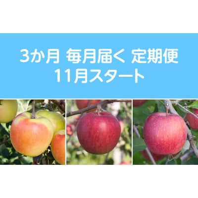 【発送月固定定期便】〈2025年11月より順次発送〉甘味系・青森県産りんご約3kg全3回【配送不可地域：離島・沖縄県】