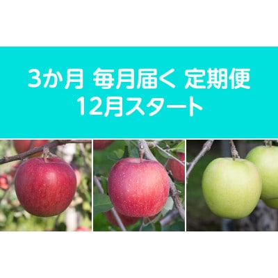 【発送月固定定期便】〈2025年12月より順次発送〉甘味系・青森県産りんご約3kg全3回【配送不可地域：離島・沖縄県】