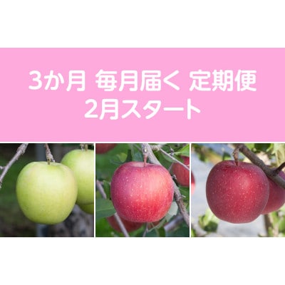 【発送月固定定期便】〈2026年2月より順次発送〉甘味系・青森りんご約3kg全3回【配送不可地域：離島・沖縄県】