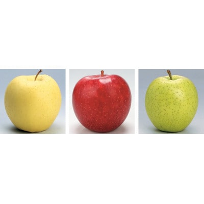 【発送月固定定期便】R8年2月発送開始　青森県産りんご　月替わりでお届けします全3回【配送不可地域：離島・沖縄県】