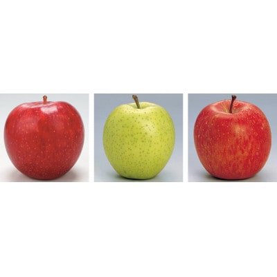 【発送月固定定期便】R8年3月発送開始　青森県産りんご　月替わりでお届けします全3回【配送不可地域：離島・沖縄県】