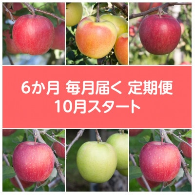 【発送月固定定期便】〈2025年10月より順次発送〉甘味系・青森県産りんご約3kg全6回【配送不可地域：離島・沖縄県】