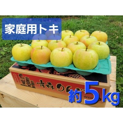 [訳あり]青森県産りんご「トキ 家庭用」約5kg 産地直送!