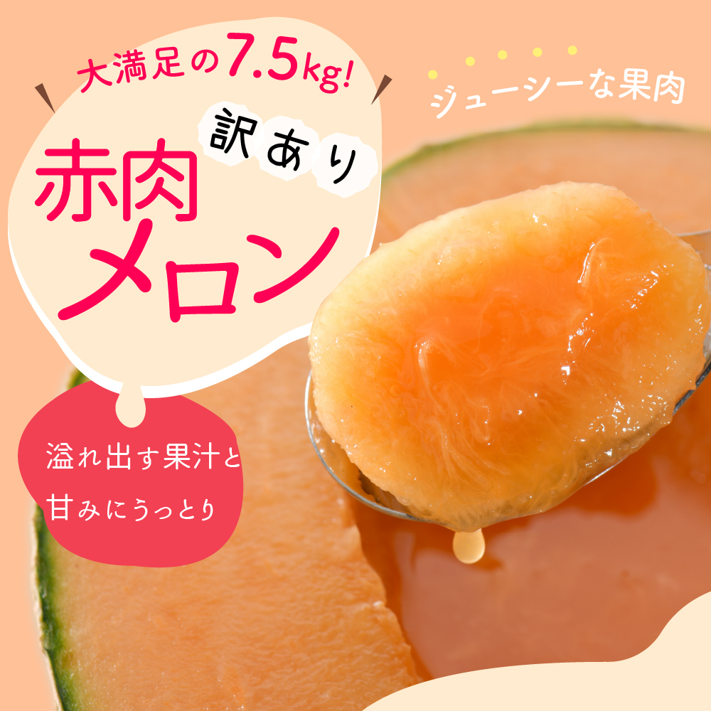 【2026年8月前半発送】【訳あり】 メロン 赤肉 7.5kg程度(4～8玉) 青森県産