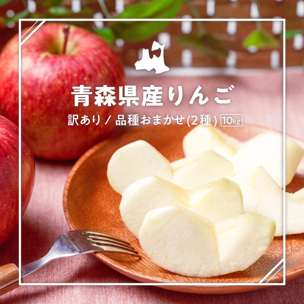 【2025年9月下旬発送】 【訳あり】 旬の美味しい りんご 約10kg 青森産 【おまかせ2品種】