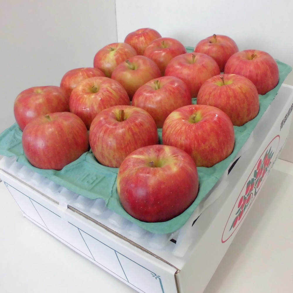 9月 りんご 10kg 葉とらず サンつがる 青森  【2025年 リンゴ 林檎 果物 クール便】