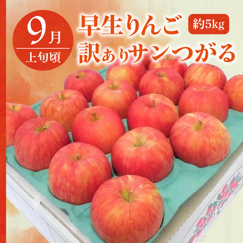【2025年9月発送開始】 おいしい3種類☆フルーツ定期便【3回】（りんごづくし）りんご　訳ありセット