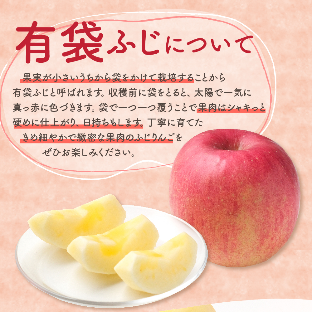 【2026年6月下旬発送】【訳あり】りんご有袋ふじ5kg(スマートフレッシュTM貯蔵又はCA貯蔵・クール便)