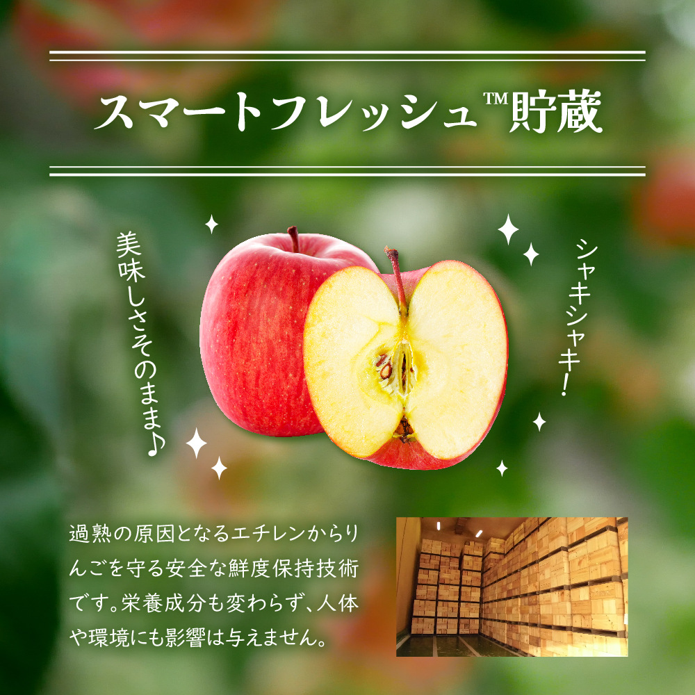 【2026年5月上旬発送】 特撰 りんご 約3kg 品種おまかせ （ ふじ 又は サンふじ ） 【発送時期が選べる】 丸かじりサイズ 青森県産 【 スマートフレッシュ 貯蔵 または CA貯蔵 】 特選