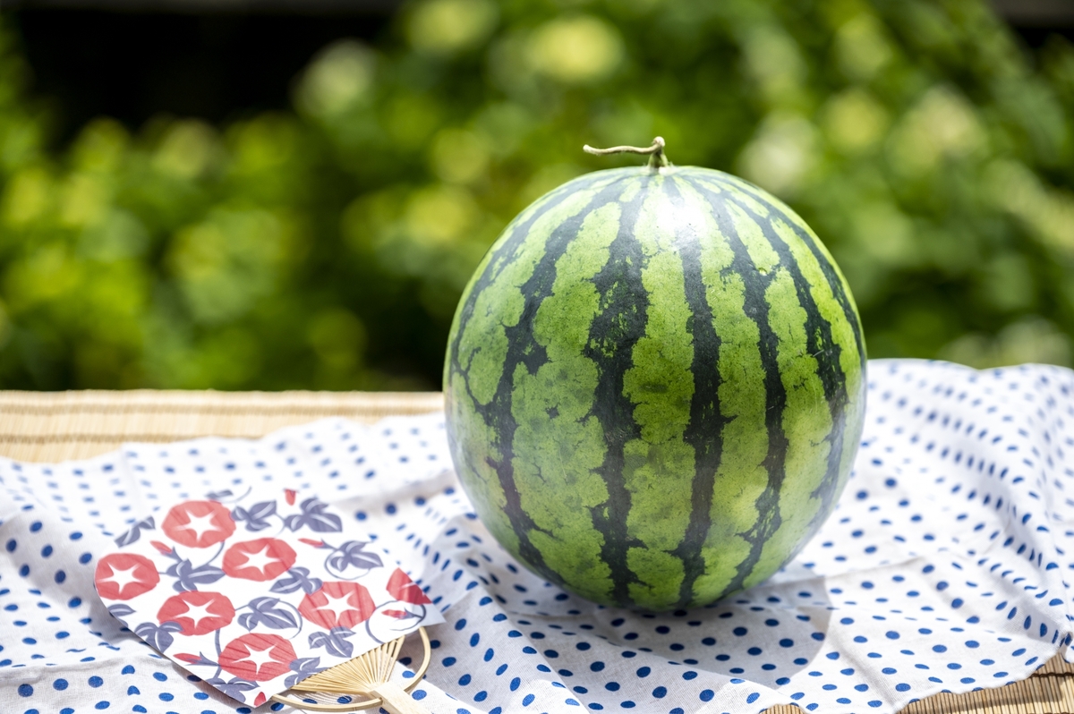 【2026年8月前半発送】 青森県産スイカ 大玉 2玉 秀品 先行受付 西瓜