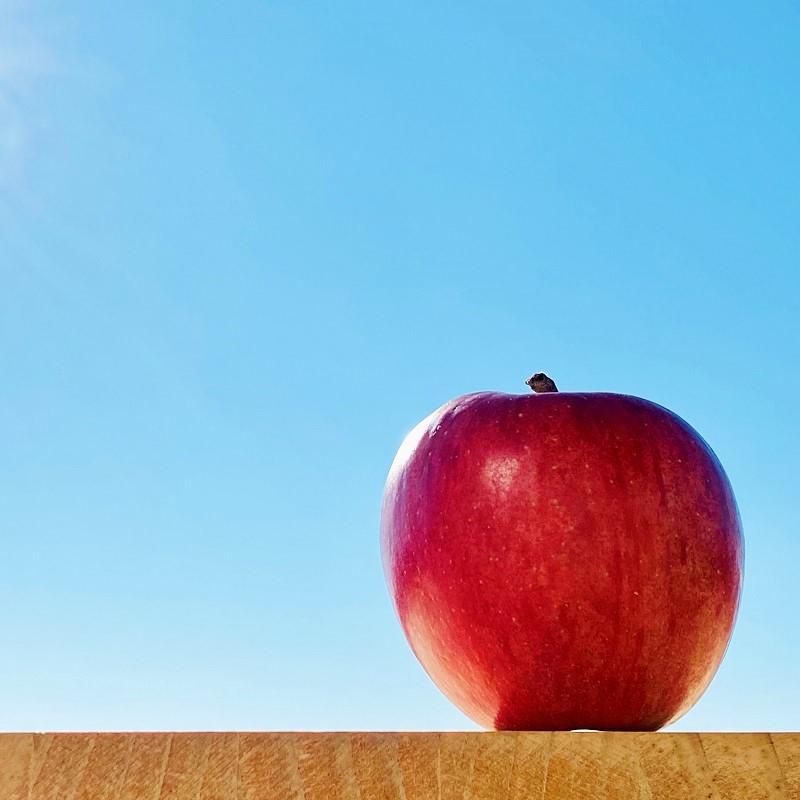 りんご 9月 3kg サンつがる 特選 青森 クール便【2025年】