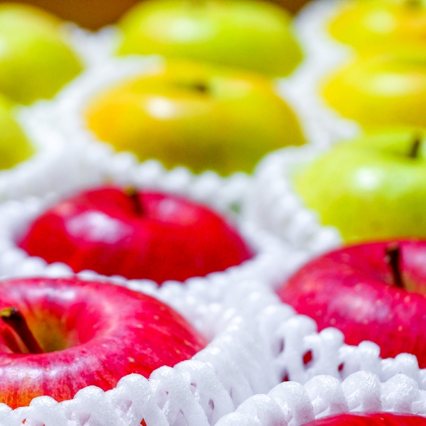 【2026年1月中旬発送】 【特選】 旬の美味しい りんご 約3kg 青森産 【おまかせ1品種】