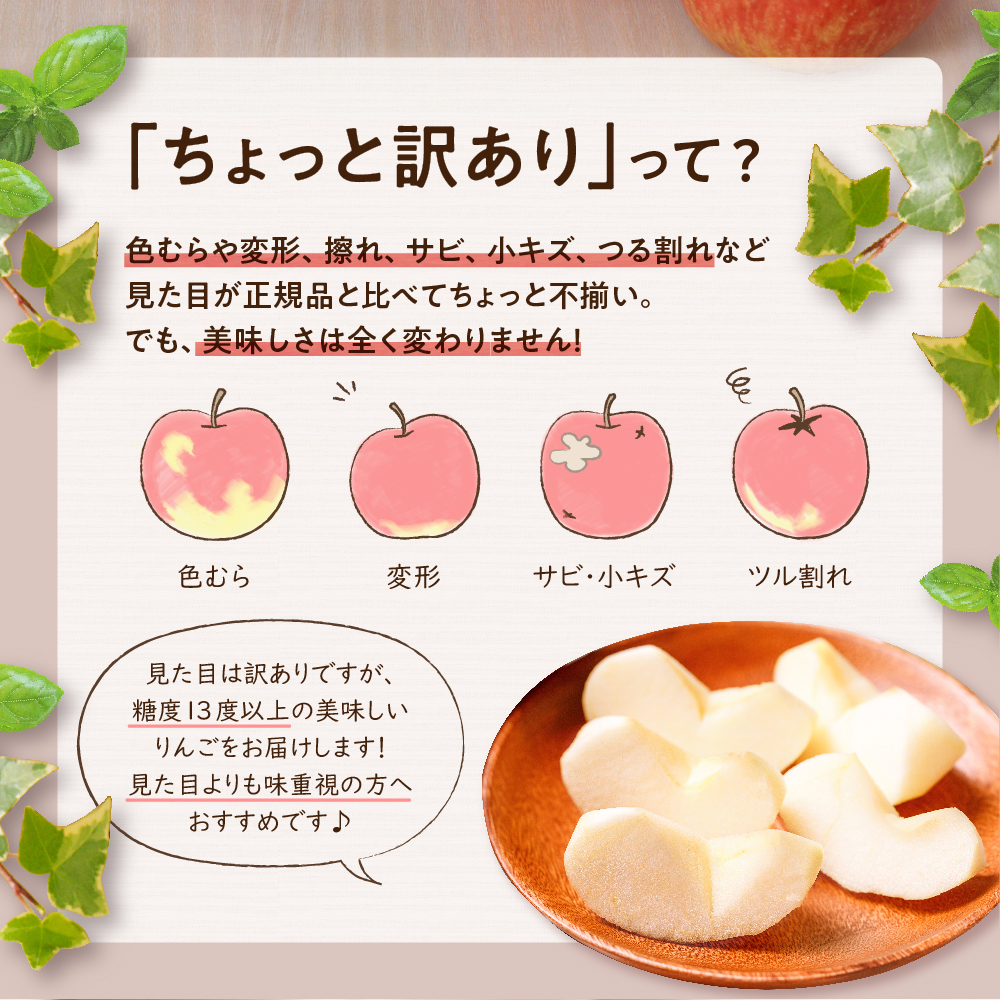 【先行受付】【2026年1月前半発送】【訳あり】 りんご 約3kg サンふじ 青森産