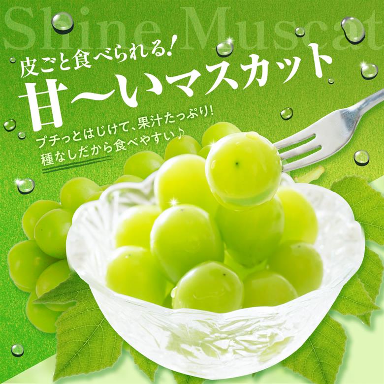 【2025年11月上旬発送】 青森産 シャインマスカット 1房 (3～4L・600～700g程度) 大粒