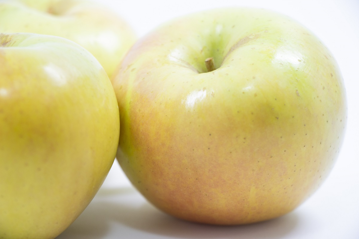 【2025年10月発送】【特選】 りんご 約3kg トキ〈樹上完熟〉 青森産