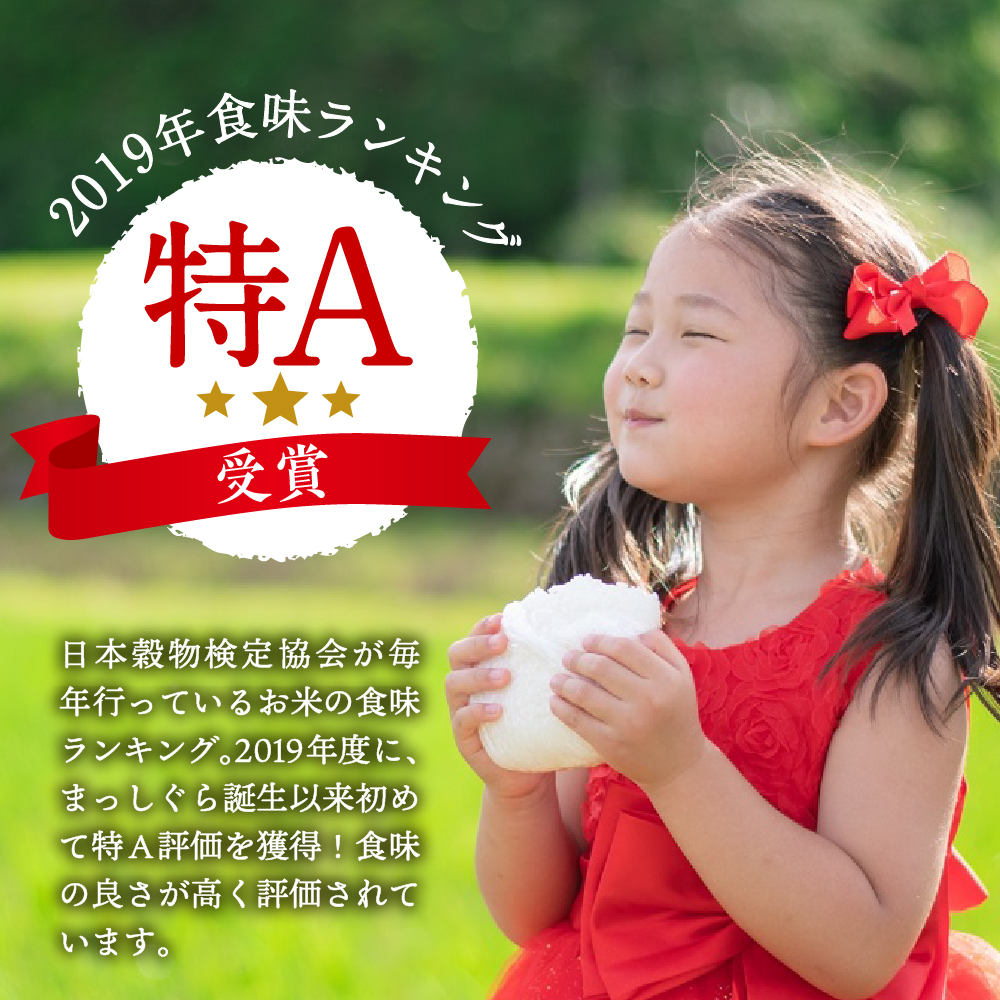 【12月発送】無洗米 10kg 青森県産 まっしぐら 令和7年産米(精米)