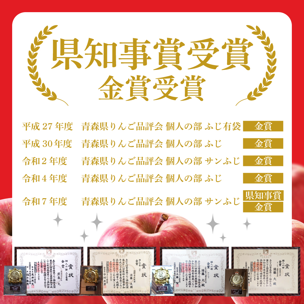 【2025年12月上旬発送】【訳あり】りんご 青森産 約5kg サンふじ