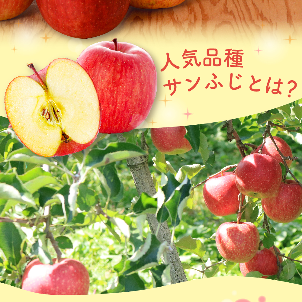 りんご　贈答用 【2026年1月中旬発送】 約 5kg サンふじ 五所川原 【 青森りんご サンふじりんご リンゴ 林檎 青森 贈答 】