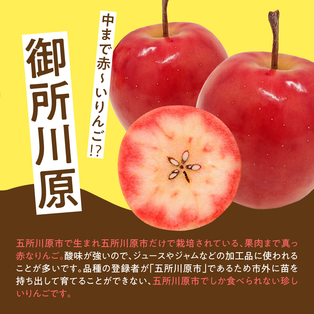 ジャム中まで赤～いりんごジャム100g×2瓶