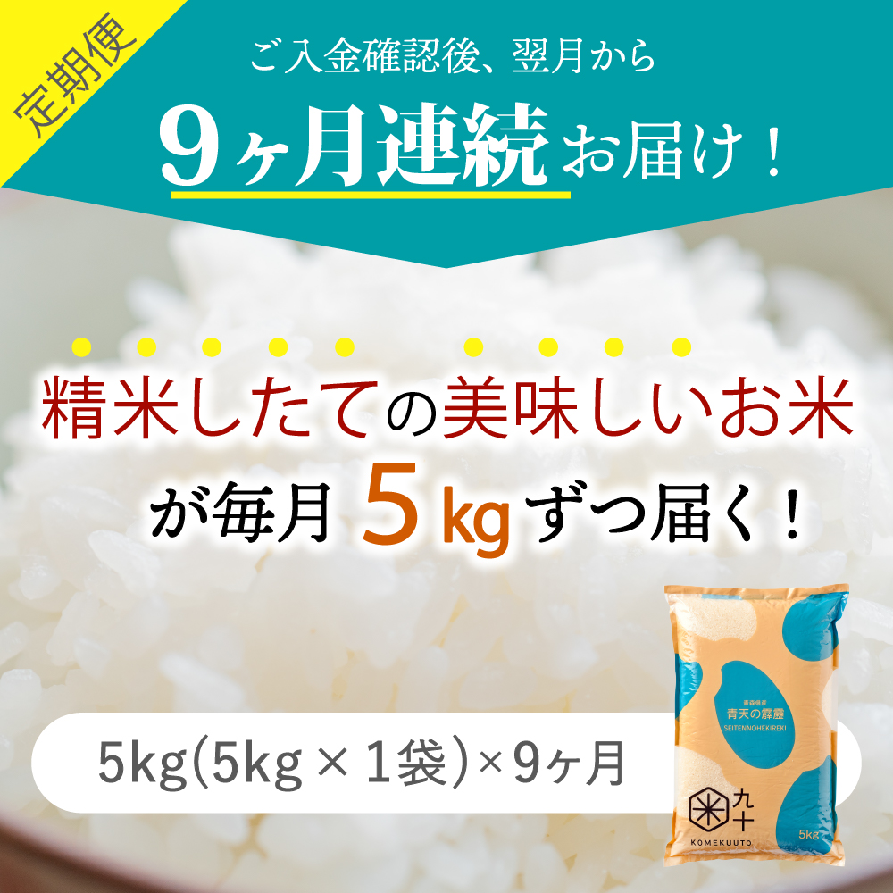 【定期便9ヶ月】米 青天の霹靂 5kg 青森県産【特A 8年連続取得】（精米）