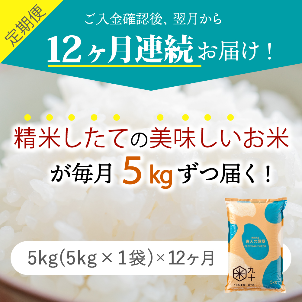 【定期便12ヶ月】米 青天の霹靂 5kg 青森県産【特A 8年連続取得】（精米）