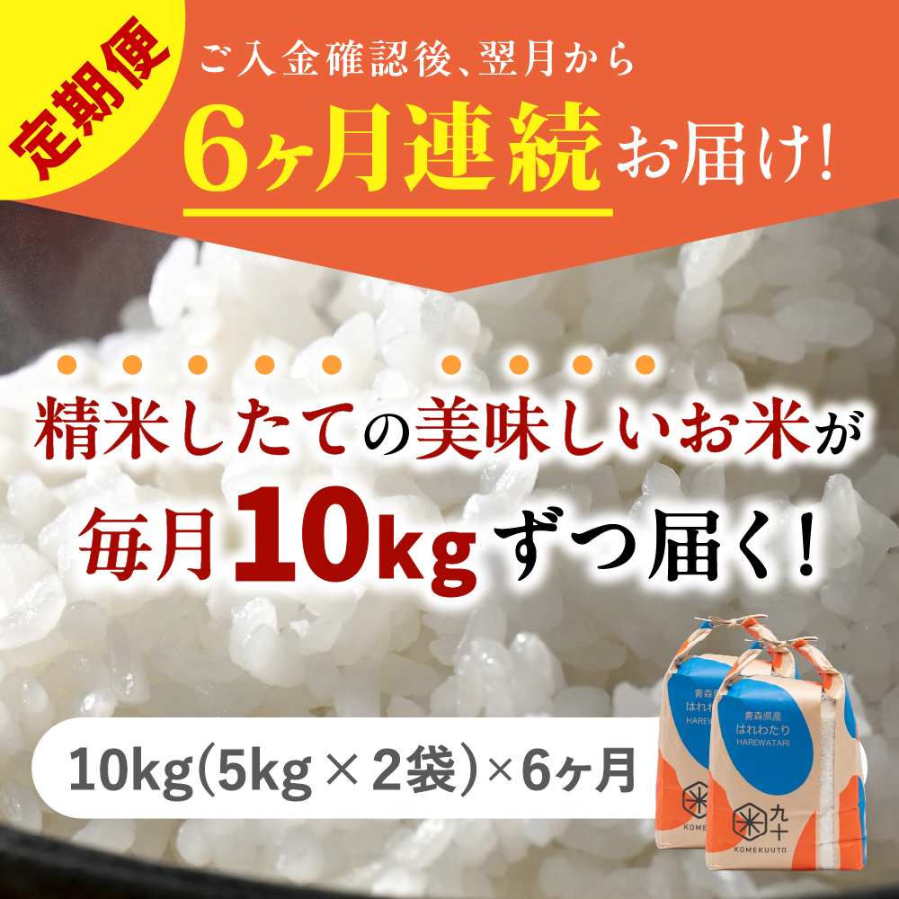【定期便6ヶ月】 米 10kg はれわたり （精米・5kg×2） 令和7年産 青森県産 【 五所川原市 白米 お米 晴れ渡り 晴れわたり harewatari 10キロ 】