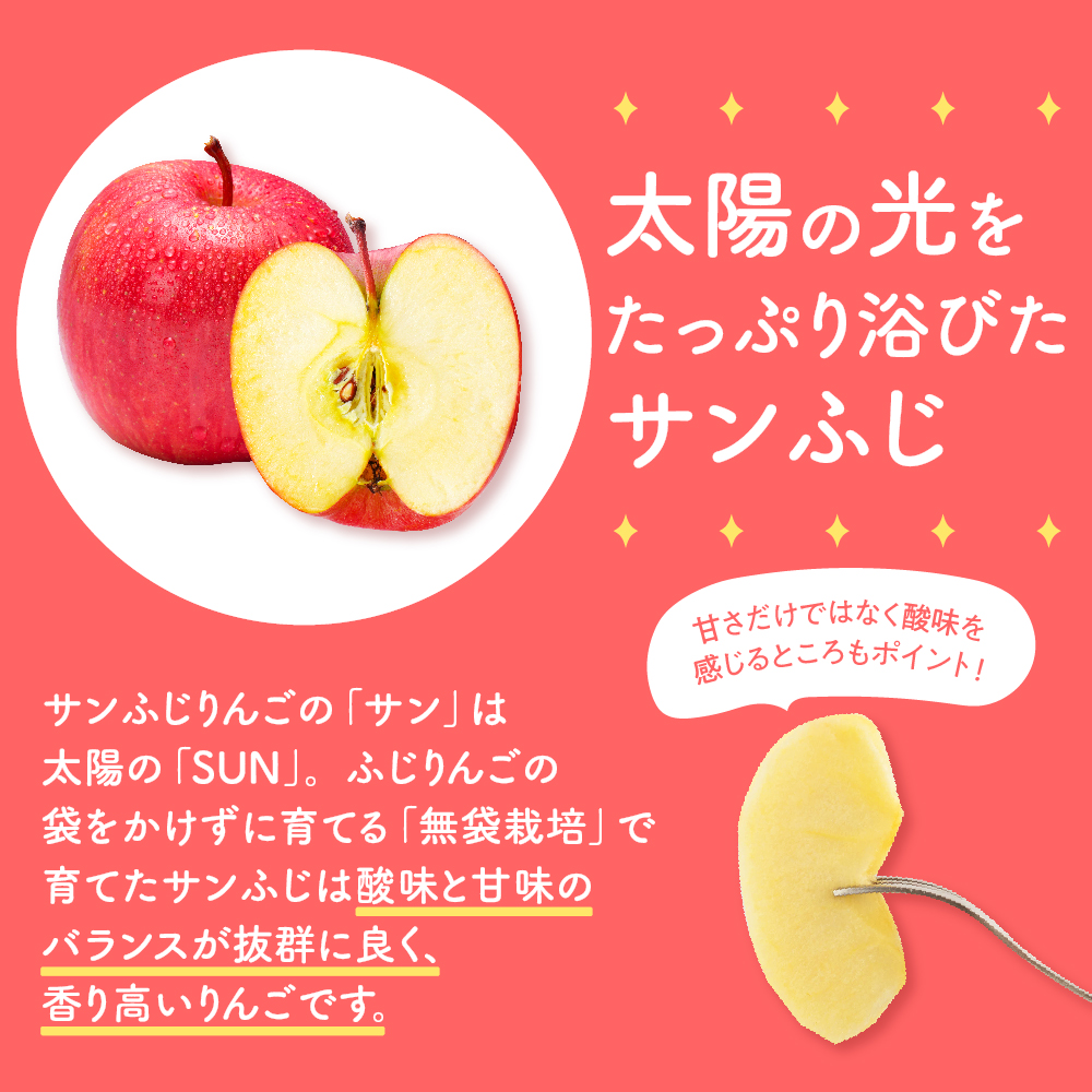 【2026年1月上旬発送】【訳あり】りんご約5kgサンふじ青森産