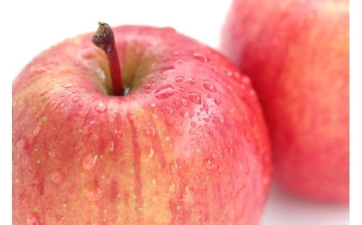 【2026年1月下旬】 たちねぷたりんご 約10kg 【青森県産】 葉取らず サンふじ りんご