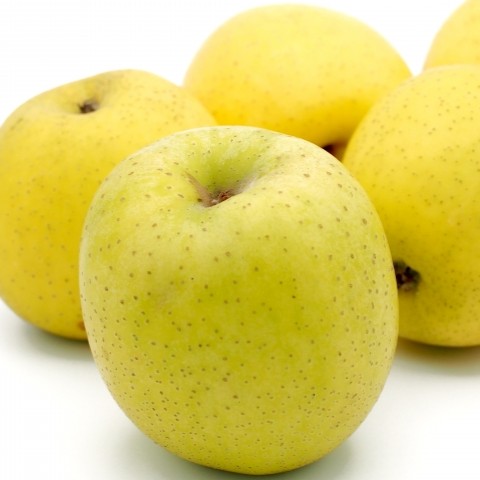 王林 りんご 訳あり 10kg【2026年1月中旬】 たちねぷたりんご 青森県 五所川原市 10キロ リンゴ おうりん