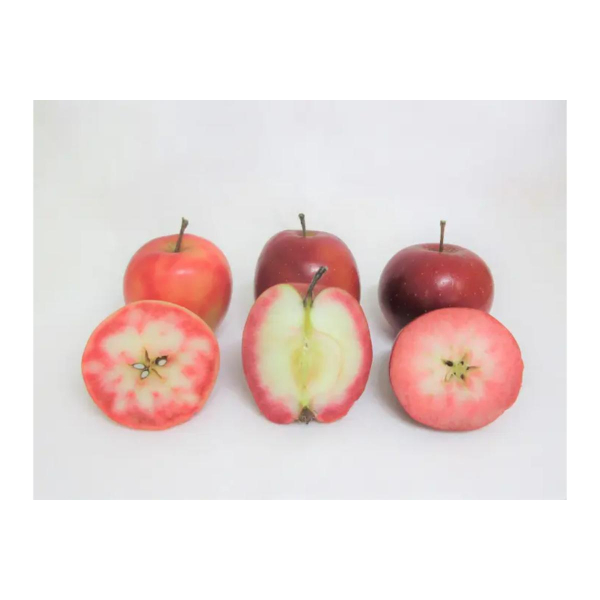 りんごジュース 飲み比べ 180ml×6本（6種×1本） りんご 果汁 100％ ストレート りんごジュース飲み比べセット 青森