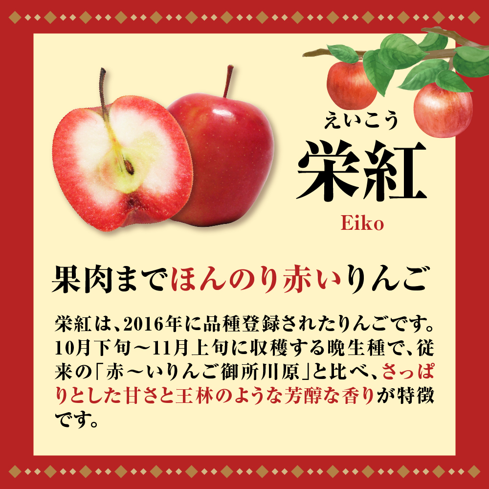 【ANA限定】中まで赤～いりんご<栄紅>【2025年12月中旬発送】訳あり 約 2.5kg 不揃い B品 家庭用 青森県 五所川原市 りんご リンゴ