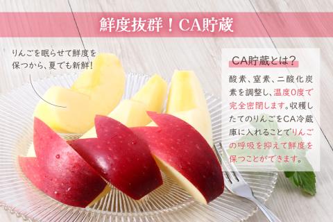 【2026年6月中旬発送】≪特選≫ りんご 有袋ふじ 3kg (スマートフレッシュ™貯蔵またはCA貯蔵・クール便)