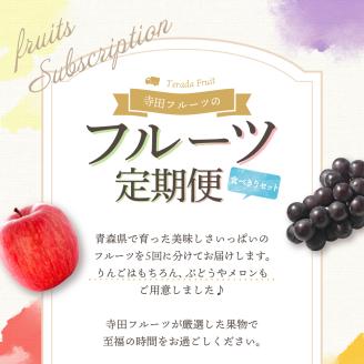 【2025年7月発送開始】フルーツ 定期便 5回 食べきり セット　訳あり品含む