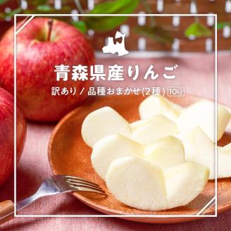 【2026年11月下旬発送】 【訳あり】 旬の美味しい りんご 約10kg 青森産 【おまかせ2品種】