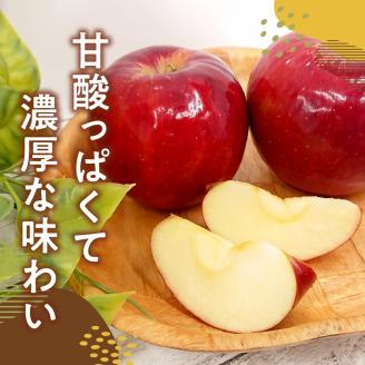 【2025年11月上旬発送】【訳あり】 りんご 10kg 紅玉 アップルパイ に最適 青森 不揃い