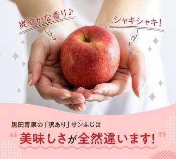 【2026年3月前半発送】 【ちょっと訳あり】 りんご 約10kg サンふじ 青森産