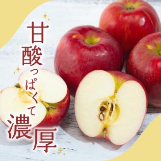 【2025年12月下旬発送】【特選】 りんご 5kg 紅玉 青森
