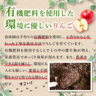【2025年10月上旬発送】訳あり 早生ふじ 5kg
