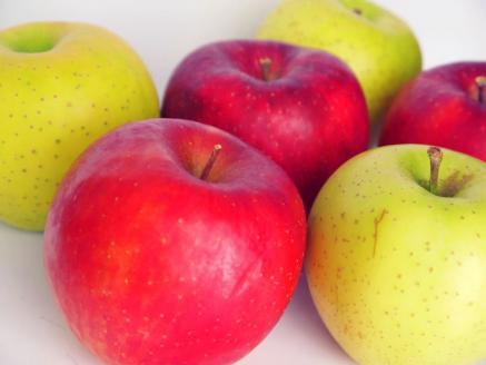 【2026年1月後半発送】 【訳あり】 りんご 約10kg 青森産 品種おまかせ2種以上