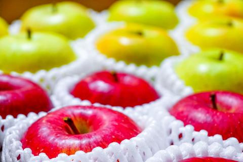 【2026年1月下旬発送】 【特選】 旬の美味しい りんご 約5kg 青森産 【おまかせ1品種】