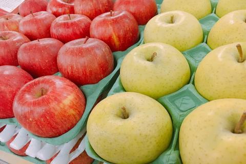 【ANA限定】【2026年2月上旬発送】 りんご 5kg 紅白の 大玉特選 詰め合わせ 青森