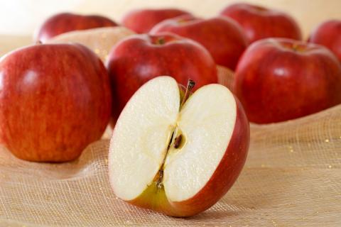 【2026年2月前半発送】 【訳あり】 りんご 青森産 約5kg 品種おまかせ1種