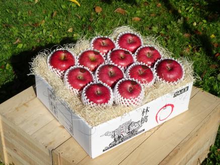 【2025年12月上旬発送】【贈答用】りんごサンふじ5kg青森