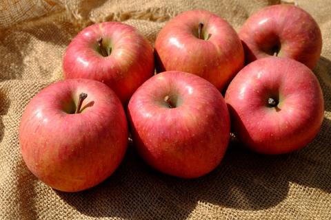 【2025年12月下旬発送】【訳あり】りんごサンふじ5kg青森