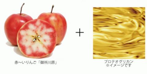 AKARIN5プロテオグリカンスキンケアセットⅠ(化粧水＋保湿乳液）